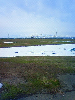 201203201013000.jpg