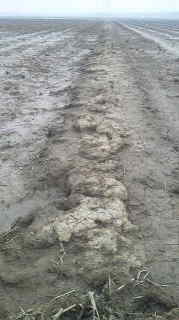 2012032308290000.jpg