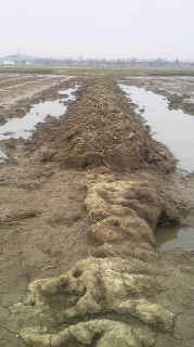 2012032308290001.jpg
